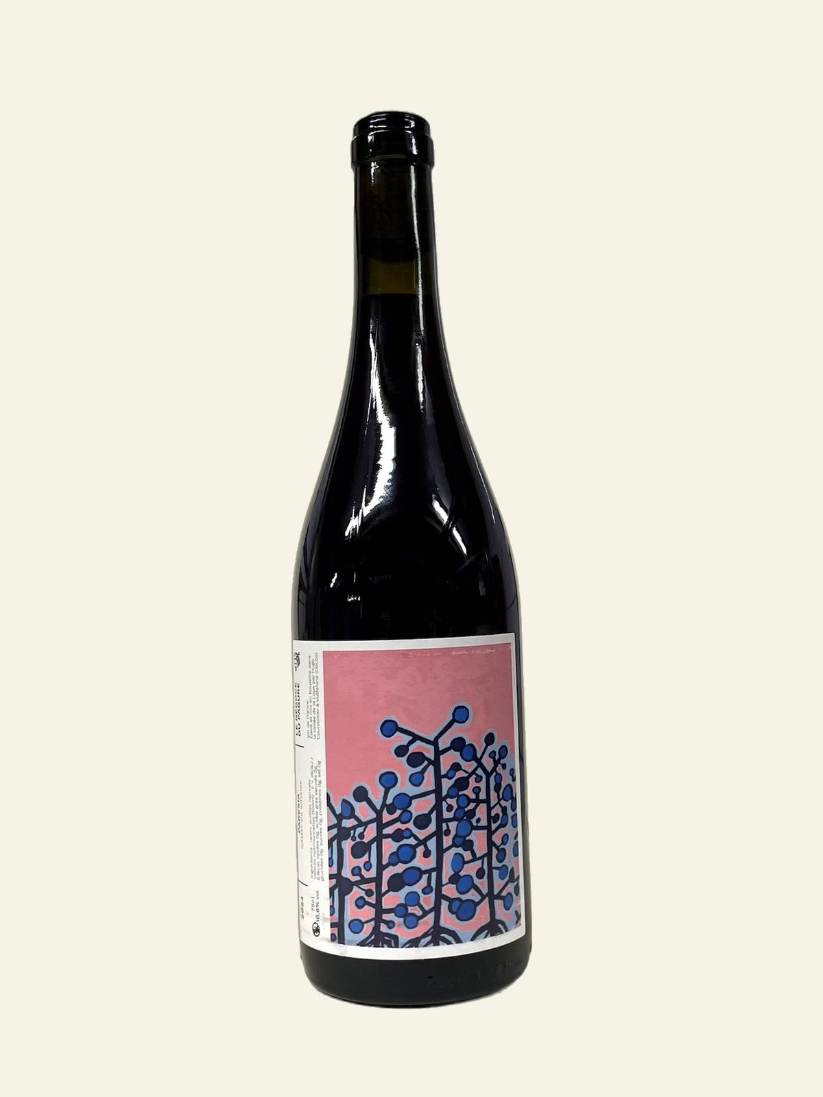 Paresia 2024, Hugo Courvoisier